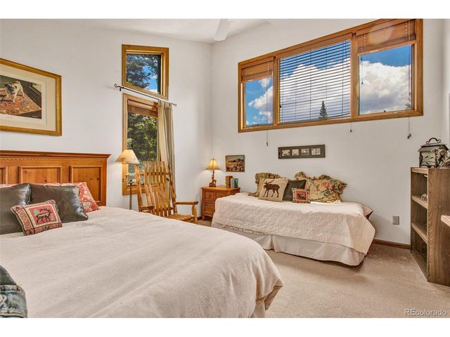 389 Peterson Dr, Alma, CO 80420