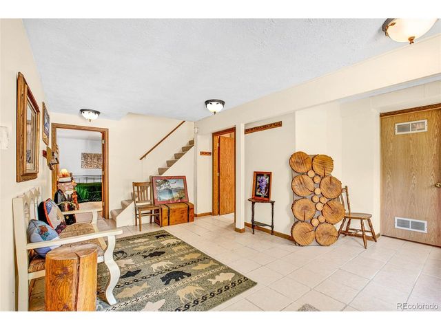 389 Peterson Dr, Alma, CO 80420