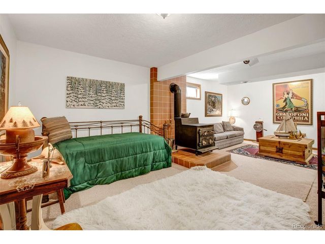 389 Peterson Dr, Alma, CO 80420