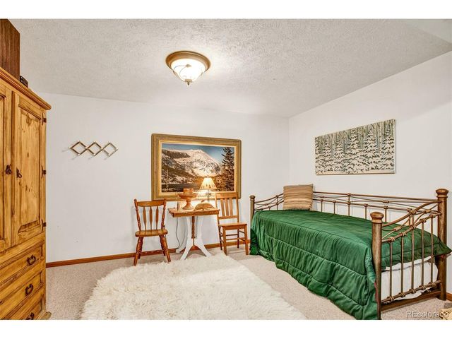 389 Peterson Dr, Alma, CO 80420