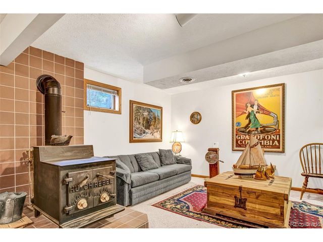 389 Peterson Dr, Alma, CO 80420