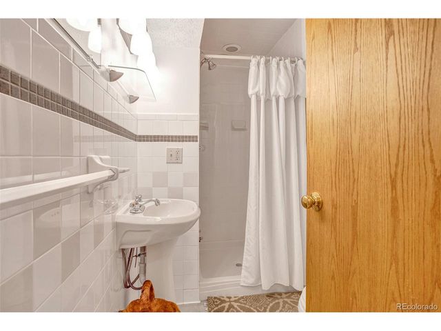 389 Peterson Dr, Alma, CO 80420