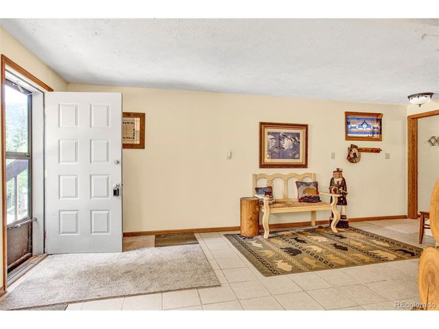 389 Peterson Dr, Alma, CO 80420