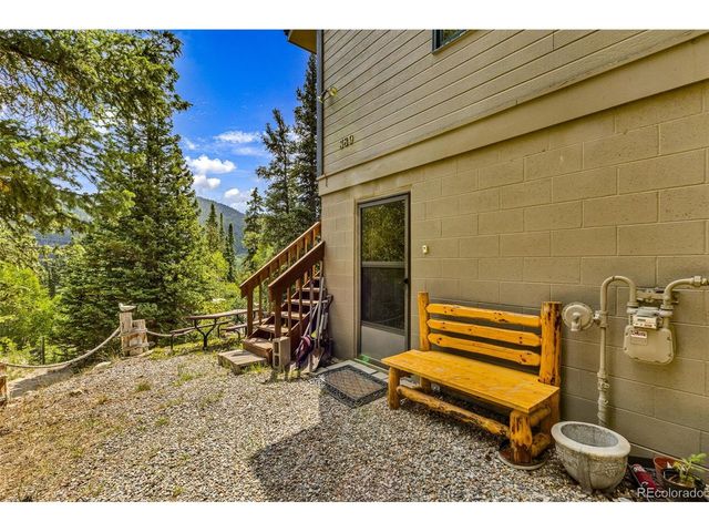 389 Peterson Dr, Alma, CO 80420
