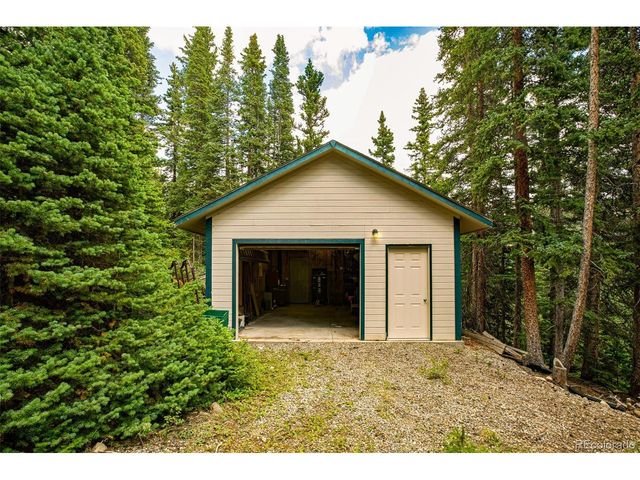 389 Peterson Dr, Alma, CO 80420