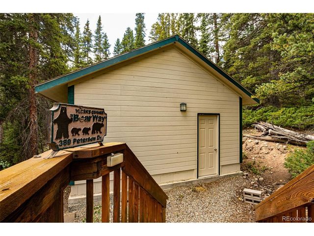389 Peterson Dr, Alma, CO 80420