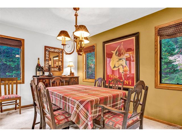 389 Peterson Dr, Alma, CO 80420