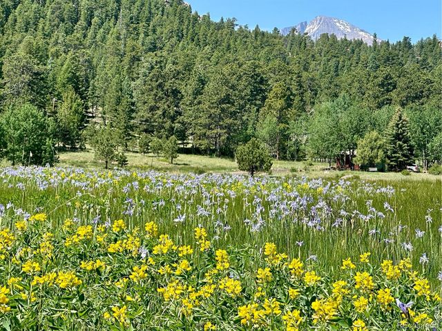 3495 Saint Francis Way, Estes Park, CO 80517