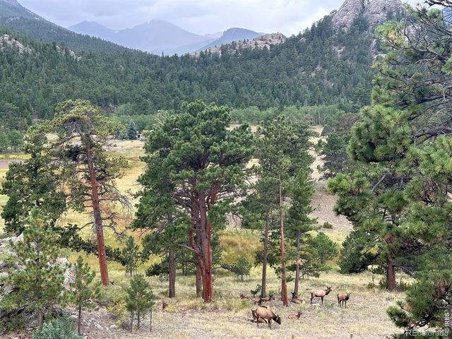 3495 Saint Francis Way, Estes Park, CO 80517