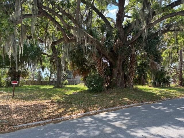 305 ELAINE DRIVE, Auburndale, FL 33823