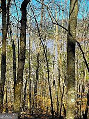 0 Overlook Drive, Chatsworth, GA 30705