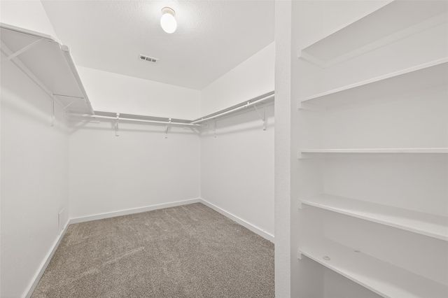 9226 Macmillan Lane, Houston, TX 77083