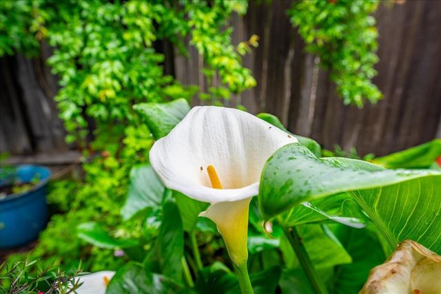 12001 Prospect Hill Dr, Gold River, CA 95670