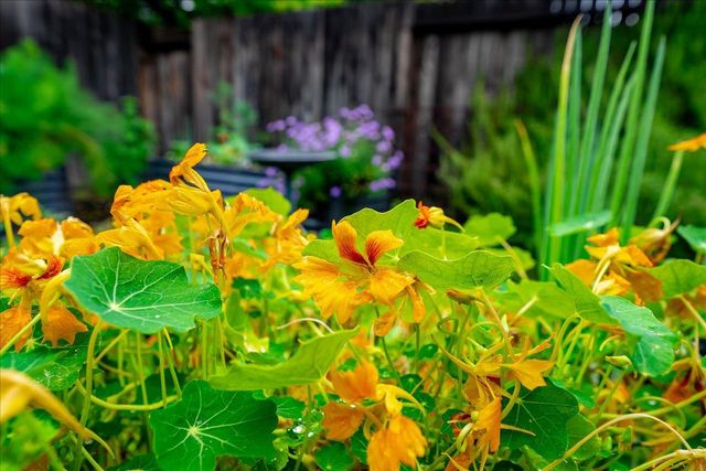 12001 Prospect Hill Dr, Gold River, CA 95670