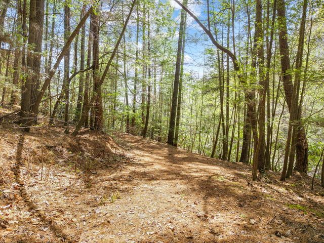 498 Lakeside Drive, Zoe, KY 41397