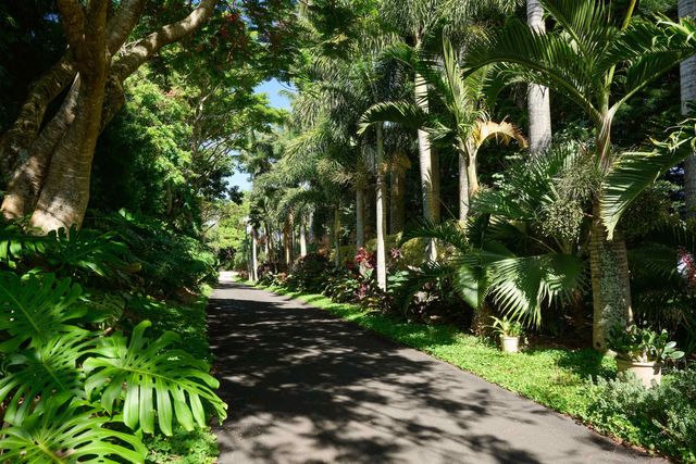 1642 W Kuiaha Rd, Haiku, HI 96708