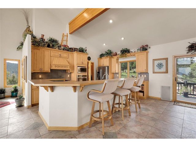 13954 Pine Country Ln, Conifer, CO 80433