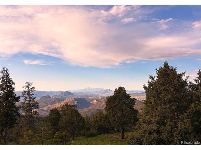 13954 Pine Country Ln, Conifer, CO 80433