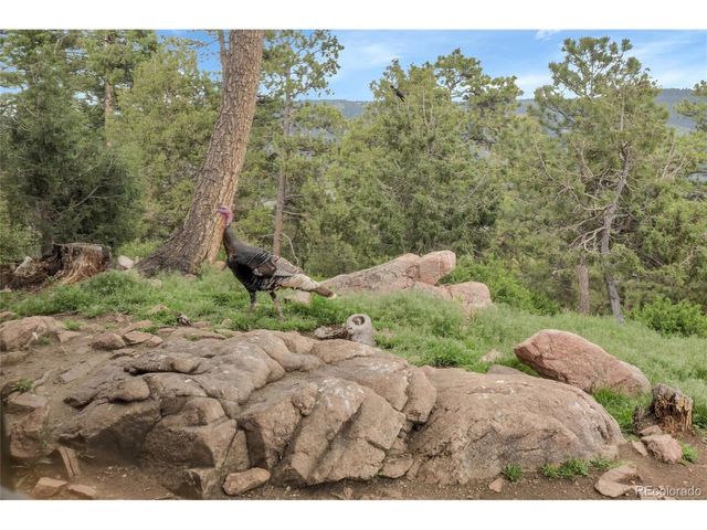 13954 Pine Country Ln, Conifer, CO 80433