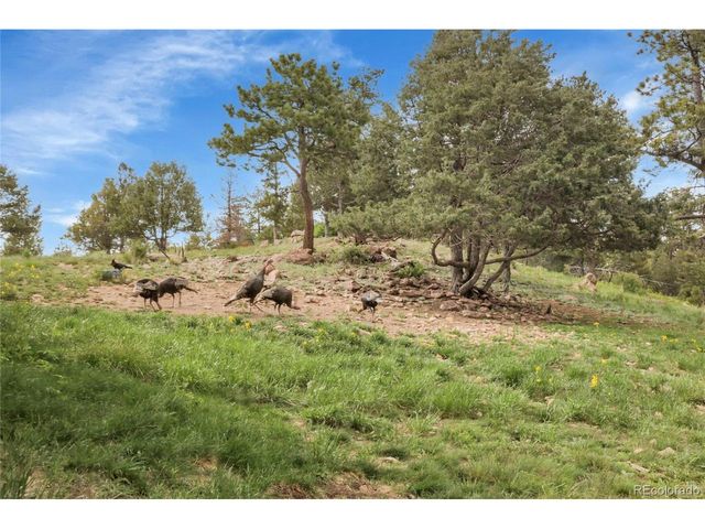 13954 Pine Country Ln, Conifer, CO 80433