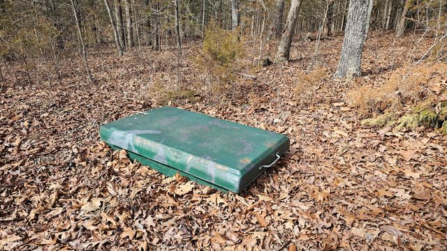 3528 County Road E 14-253, Drury, MO 65638