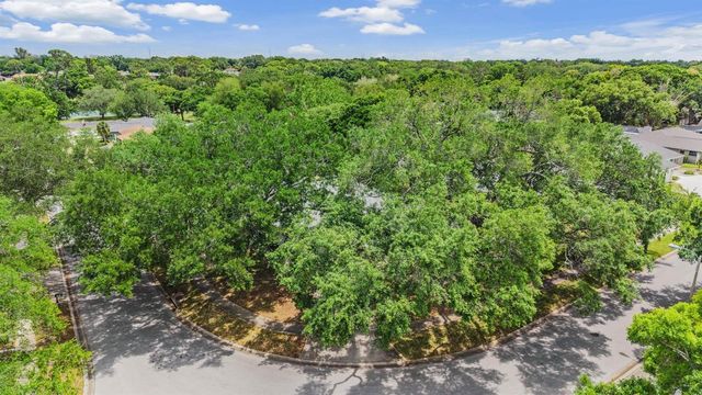 848 HILLSIDE DRIVE, Palm Harbor, FL 34683