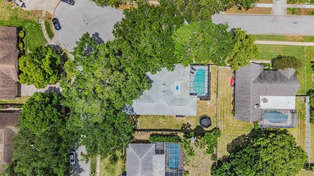 848 HILLSIDE DRIVE, Palm Harbor, FL 34683