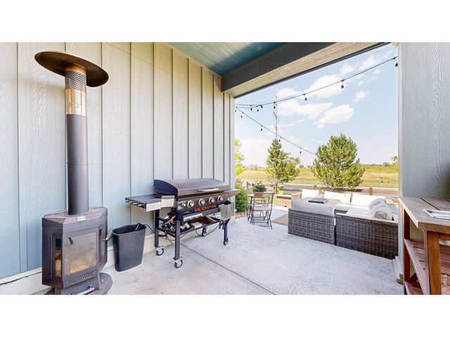 6990 Toponas Ct, Timnath, CO 80547