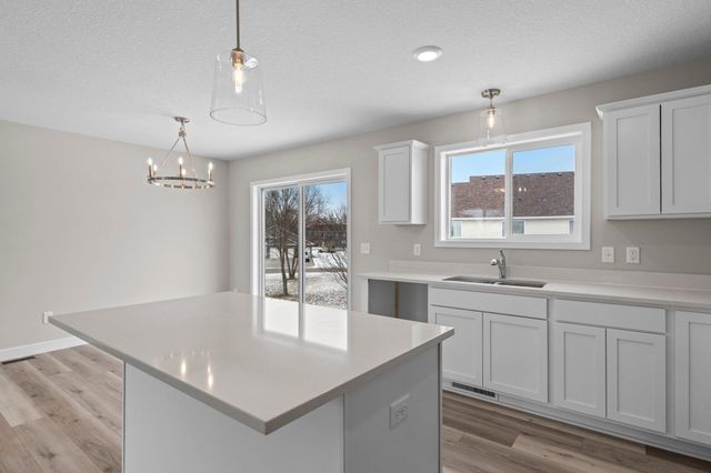 1179 Cubasue Court, Shakopee, MN 55379