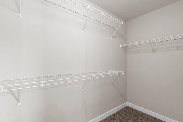 1179 Cubasue Court, Shakopee, MN 55379