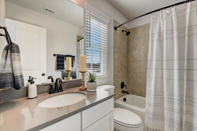 15101 Litsey Creek Drive 14925L, Roanoke, TX 76262