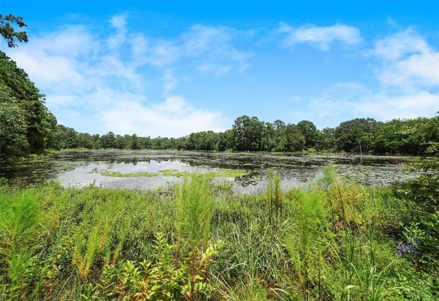 9228 Sharyn Drive, Conroe, TX 77384