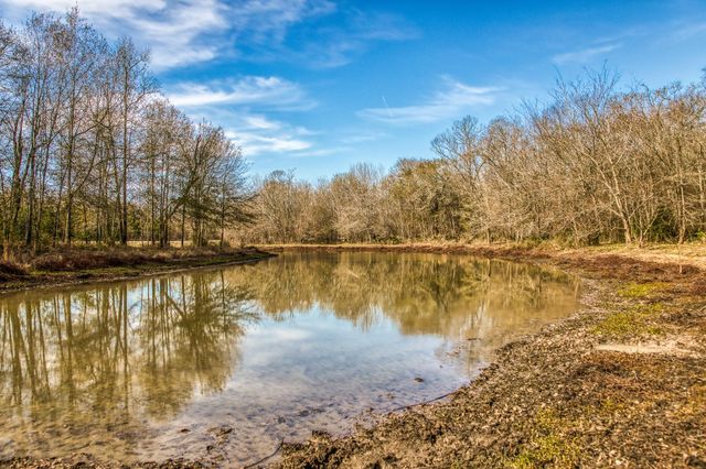 5280 Whitaker Way, Anderson, TX 77830