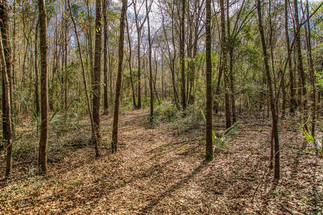 5280 Whitaker Way, Anderson, TX 77830