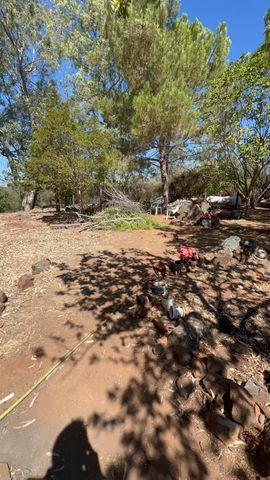 2990 Royce Dr, Rescue, CA 95672