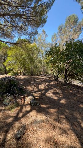 2990 Royce Dr, Rescue, CA 95672