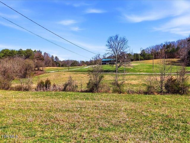 541 Big Springs Drive, Mosheim, TN 37818