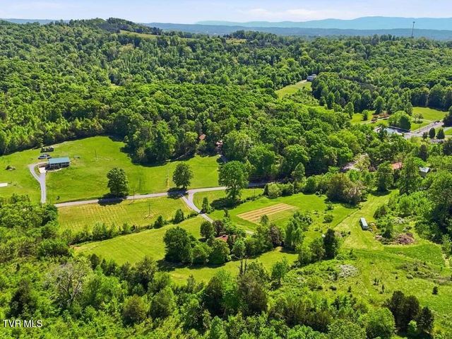 541 Big Springs Drive, Mosheim, TN 37818