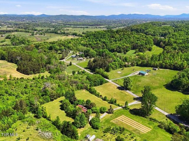541 Big Springs Drive, Mosheim, TN 37818