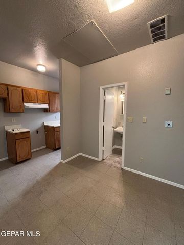 515 S Oregon Street 314, El Paso, TX 79901