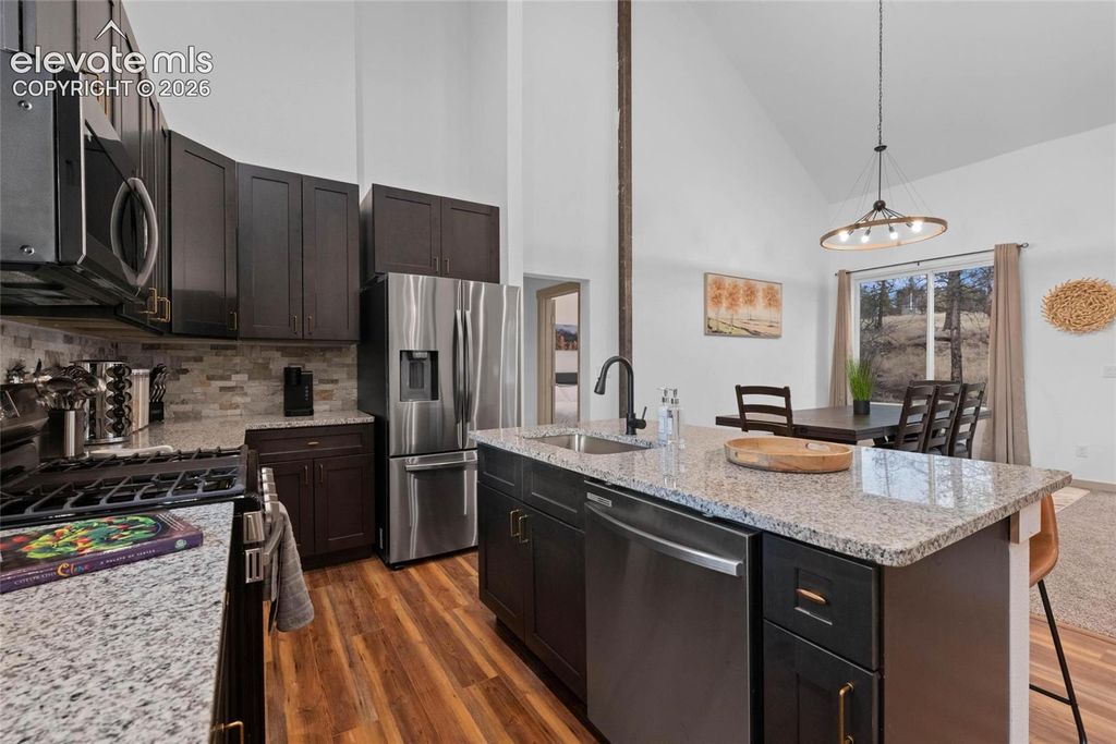 526 Irwin Drive, Florissant, CO 80816 — photo 5