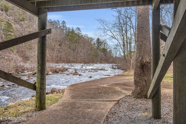1667 Cherohala Skyway, Tellico Plains, TN 37385