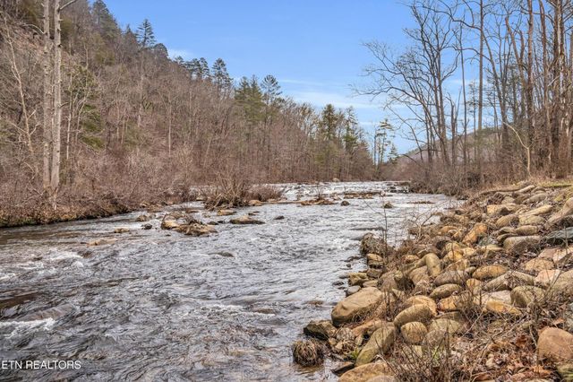1667 Cherohala Skyway, Tellico Plains, TN 37385