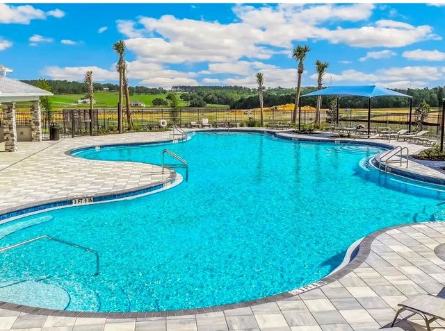 35291 SPRUCE KNOB COURT, Dade City, FL 33525