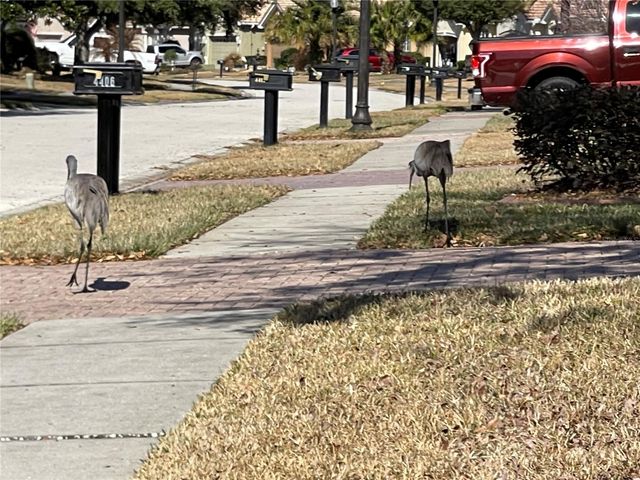 4380 CALIQUEN DRIVE, Brooksville, FL 34604