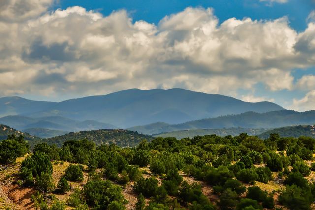 320 Artist Road 54, Santa Fe, NM 87501