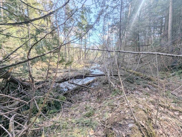 131 Old Bradley Road, St. Johnsbury, VT 05819
