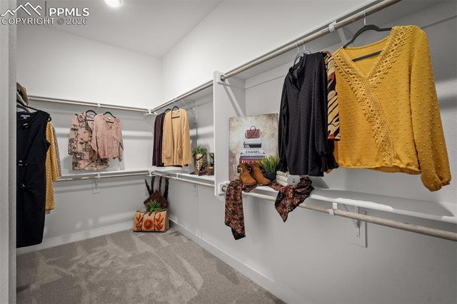 17122 Alsike Clover Court, Monument, CO 80132