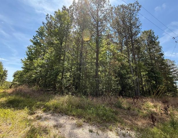 467 N Raburn Road, Bremen, GA 30110