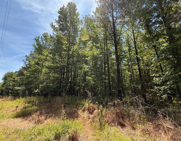 467 N Raburn Road, Bremen, GA 30110